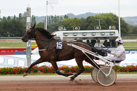 Actualités Hippiques